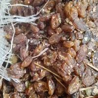 مرکز پخش کشمش آشی خرده فروشی به قیمت عمده|خوردنی و آشامیدنی|نجفآباد, شریعتی غربی|دیوار