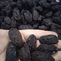آلوخورشتی