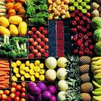صندوق داری و حساب داری برای میدان بار