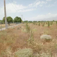 باغ ۹۰۰۰هزار متر|فروش زمین و ملک کلنگی|نیر (اردبیل), |دیوار