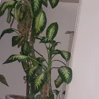 خانه ویلایی ۱۲۰ متری واقع در شهرک سعیدیه اسلامشهر