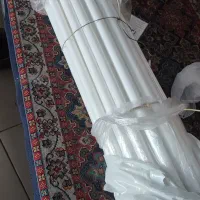 37عدد مهتابی سالم به شرط