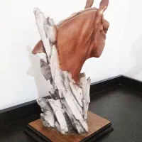 مجسمه اسب پلی استر|مجسمه، تندیس، ماکت|دامغان, |دیوار