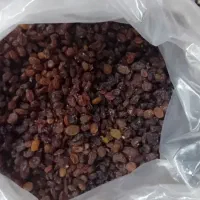 کشمش درجه دو پاک شده هش کیلیو