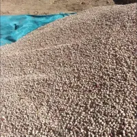اجاره-زمین-کشاورزی