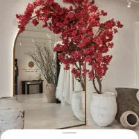 استخدام نیرو در سالن زیبایی در صدرا