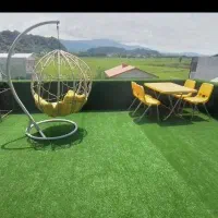 چمن مصنوعی  338000تومن فروش ویژه پاییزه|گل مصنوعی|لاهیجان, بازکیاگوراب|دیوار