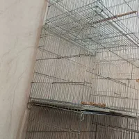قفس|لوازم جانبی حیوانات|اهواز, غیزانیه|دیوار
