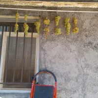 اجاره-خانه-ویلایی-در-هفده-شهریور-شاداباد