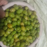 زیتون درشت درجه یک موجود می‌باشد کنسروی و شکسته|عمده‌فروشی|لوشان, |دیوار