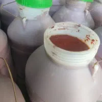 رب نیشابور