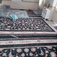 ۳عددقالی۱۰۰۰ شانه در حد نو|فرش|یزدان شهر, |دیوار