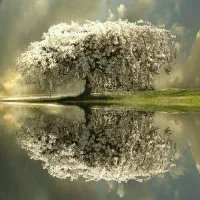 09353555510و 09353555570