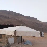 طبق میوه چرخداروبدون چرخ باچتر