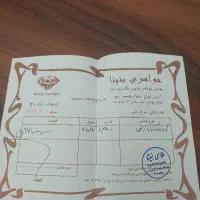 گوشواره و گردنبند تمام تراش|جواهرات|تهران, شهرک ولیعصر شمالی|دیوار