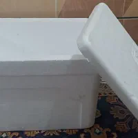 فلاکس ماهی|ظروف نگهدارنده، پلاستیکی، یک‌بارمصرف|رودان, |دیوار