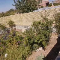 زمین ۲۲۰ متری خسروجرود معاوضه با خودرو|فروش زمین و ملک کلنگی|سبزوار, خسروجرد|دیوار