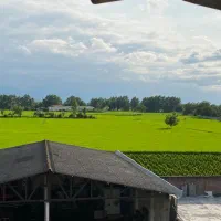 فروش ملک تجاری مسکونی|فروش دفتر صنعتی، کشاورزی، تجاری|آمل, |دیوار