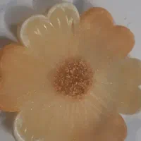 میوه خوری و ظرف رزینی به هر مدلی دوست دارید|ظروف سرو و پذیرایی|تهران, شهرک فردوس (حسینی)|دیوار