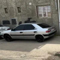زانتیا نقرای چند لکه. رنگ