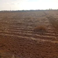 فروش-باغ-و-زمین-کشاورزی