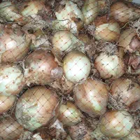 پیاز درجه ۱بدونه خرابی