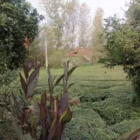 فروش-زمین-روستایی-مسکونی