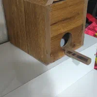 لانه پرنده