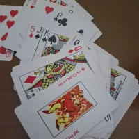 پاسور جنس اورجینال