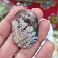 عقیق شجر طبیعی سایز بزرگ گردنبند|کلکسیون اشیاء عتیقه|یزد, |دیوار