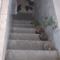 اجاره آپارتمان ۱۰۰ متری ۱ خوابه زیر همکف در استخر