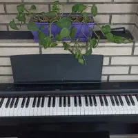 پیانو دیجیتال یاماها نو|پیانو، کیبورد، آکاردئون|کرج, شهرک بنفشه|دیوار