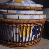 ظروف گل پنبه