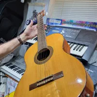 گیتار حرفه ای admira|گیتار، بیس، امپلیفایر|رشت, معلم|دیوار