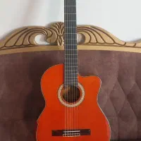 گیتار واشبرن پیکابدار کاتوی