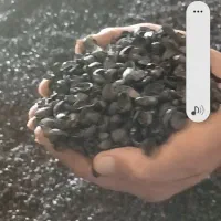 کربن پوست پسته