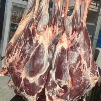 پخش گوشت گوساله تازه ومنجمد