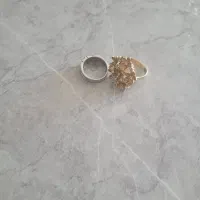 دوعددانگشتر در حدنو