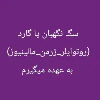 واگذاری سگ گارد یا نگهبان به عهده میگیرم...