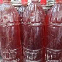 آبغوره کاشمر