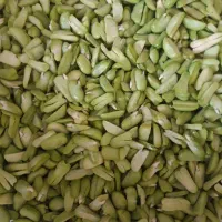 سبزی قرمه و باقلا دوپوسته|خوردنی و آشامیدنی|بافق, |دیوار