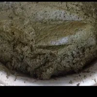 سبزی خورشتی تازه