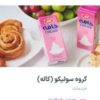 استخدام شرکت کاله لاین لبنی