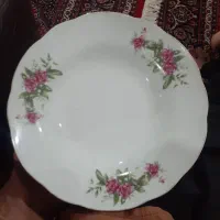 چینی گل سرخ|ظروف سرو و پذیرایی|ابهر, |دیوار