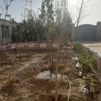 لوله کشی قطره ای
