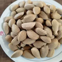 بادام تلخ خوب بدونه هیچ خرابی