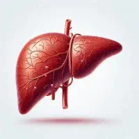 بهبود کبد چرب