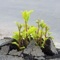 سرگرمی و امید زندگی