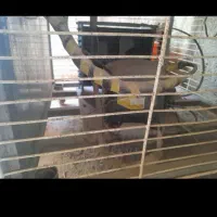 شیر سرد کن ۳۵۰ لیتری|ماشین‌آلات صنعتی|رباط‌کریم, رباط‌کریم|دیوار