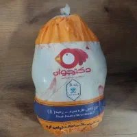 مرغ کشتارروز کالابرگ و طرح یسنا کودکان